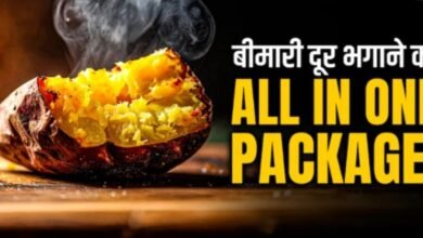 Breakfast every day: सर्दियों में शकरकंद के साथ ये 2 चीजें मिलाकर रोज करें नाश्ता—बीमारियां