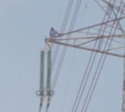 CG NEWS: गांव में हड़कंप: धान टोकन नहीं कटने से किसान ने टावर पर चढ़कर किया विरोध, वीडियो वायरल