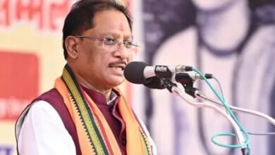 CG NEWS: शिमला मैनपाट में तीन दिवसीय महोत्सव आज से शुरू, CM विष्णु देव साय होंगे शामिल