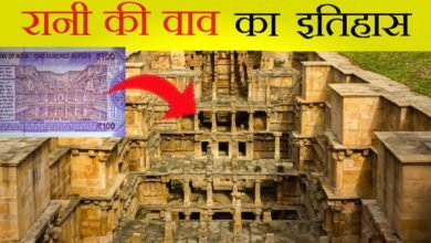 ‘ताजमहल’ नहीं, रानी की वाव है सच्चे प्यार की असली निशानी