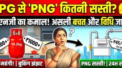 NEW DELHI ENERGY NEWS: PNG नहीं अपनाया तो बंद होगा LPG, सरकार का बड़ा फैसला