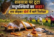 उन्नाव में अंतिम संस्कार के दौरान मधुमक्खियों का हमला, करीब दो दर्जन ग्रामीण घायल