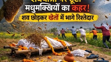 उन्नाव में अंतिम संस्कार के दौरान मधुमक्खियों का हमला, करीब दो दर्जन ग्रामीण घायल