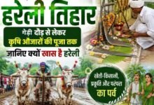 गुड़हा चीला और गुलगुल भजिया की खुशबू