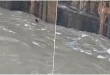 बांगो डैम में युवक की तलाश के दौरान NDRF रेस्क्यू ऑपरेशन