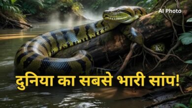 100 किलो तक के जानवर को बना सकता है शिकार